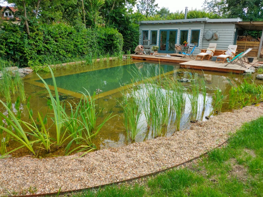Natural swimming pond beside wooden garden house