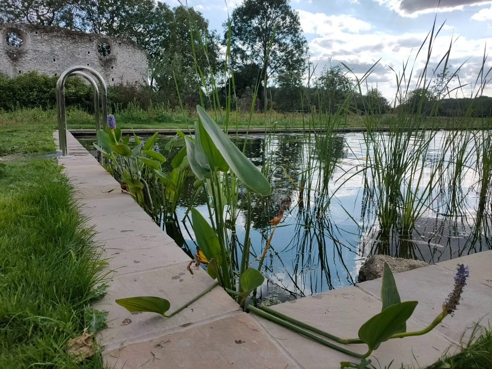 Natural swimming pond beside historic stone ruins